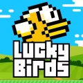 Lucky Birds