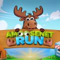 Amoosenet Run